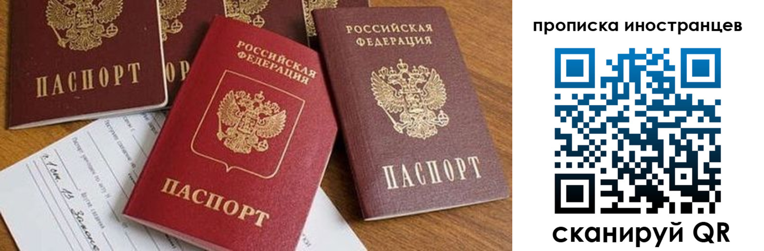 прописка в Дальнегорске
